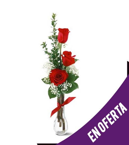 ..3 Rosas Ecuatorianas en Florerito 